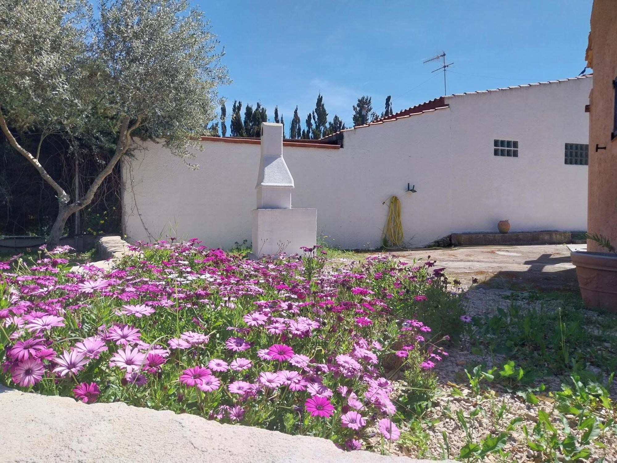 Casal Baratz Διαμέρισμα Santa Maria la Palma Εξωτερικό φωτογραφία